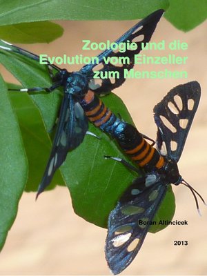 cover image of Zoologie und die Evolution vom Einzeller zum Menschen